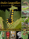 Owlet Caterpillars of Eastern North America (eBook)